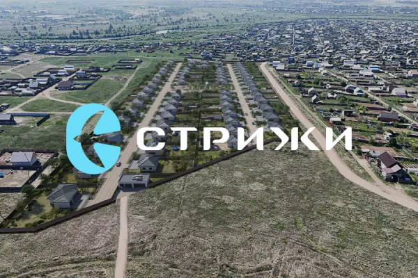 Стрижи